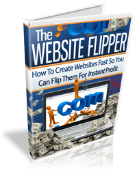 The Website Flipper